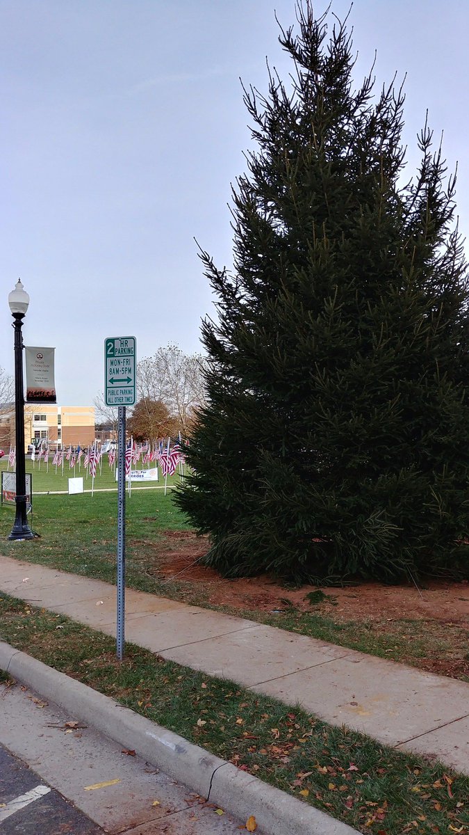 CityofManassas's tweet photo. Thank you to @Okras for donating the new tree and Olde Towne Landscaping for installing the tree for Santa Lights Manassas on Dec. 1. Can't wait to see it lit up. https://t.co/yqWgsCD5DY