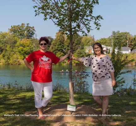 2017welland's tweet photo. We've got the perfect gift idea! Purchase a tree on Welland's Trail 150 and dedicate it to the one you love with a personalized plaque. Visit the Welland Community Wellness Complex today! Photo courtesy @A_Gallaccio https://t.co/I6NX3bpI05
