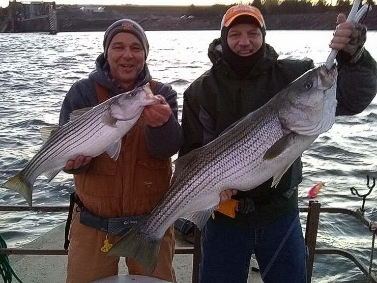 SpoolTekLures's tweet photo. Here's a double header on the Spooltek 6" Fatty in Barramoney color pattern.  #stripedbass #spooltek #spoolteklures https://t.co/Gm9J0CZFxl