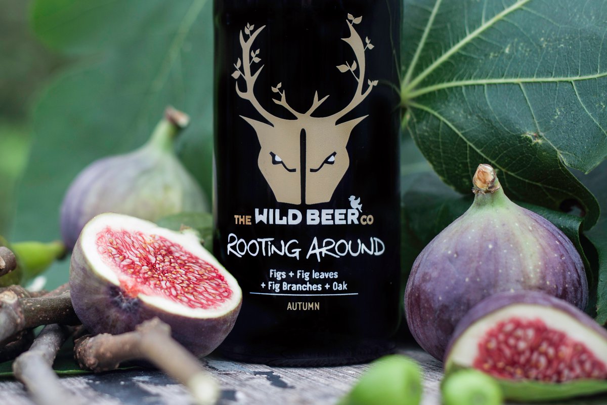 WildBeerCo's tweet photo. It's the season of the witch. But which one will you try? 
https://t.co/zhduGnHUlu
#BeyondModusIV #RootingAroundAutumn #FruitBooter #SmokenBarrels17 https://t.co/bxJrZl5JGF