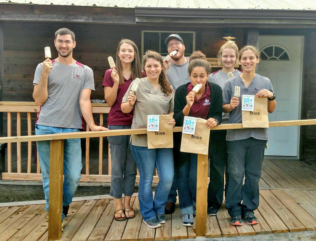 AggielandHumane's tweet photo. What’s better than a breakfast popsicle from @FriosAggieland?? 
Nothing!! 
#popsiclesforbreakfast https://t.co/4wjkdKj2kn