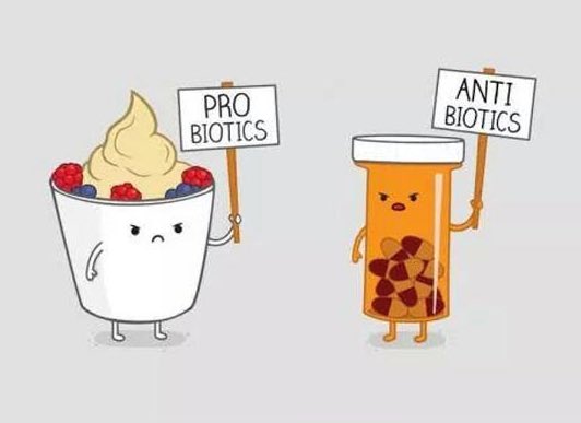 Probiotics (healthy bacteria) are a health building essential to life, vitality, and well-being ✊🏻

#Health #Probiotic #Nutrition #doctor