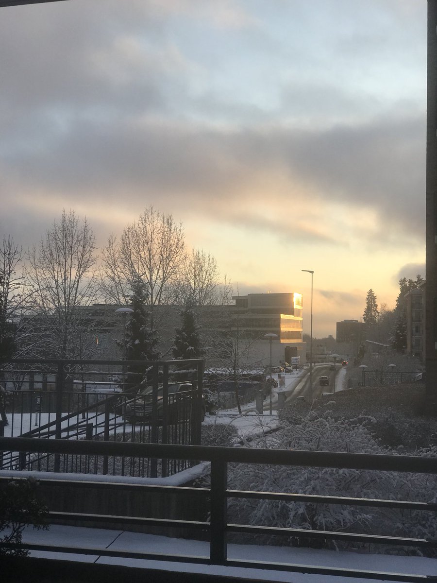 GLADSherpa's tweet photo. “The only constant in life, is #change ...”
This year’s first #snowfall....the same #evening....the setting sun.....the different shades of #beauty❣️
#sunset
#naturenurtures
#secretoflife
#successfromwithin
#oslo
#ifeeliam
#gladitude
#gladsherpa https://t.co/0K10y7WvUT