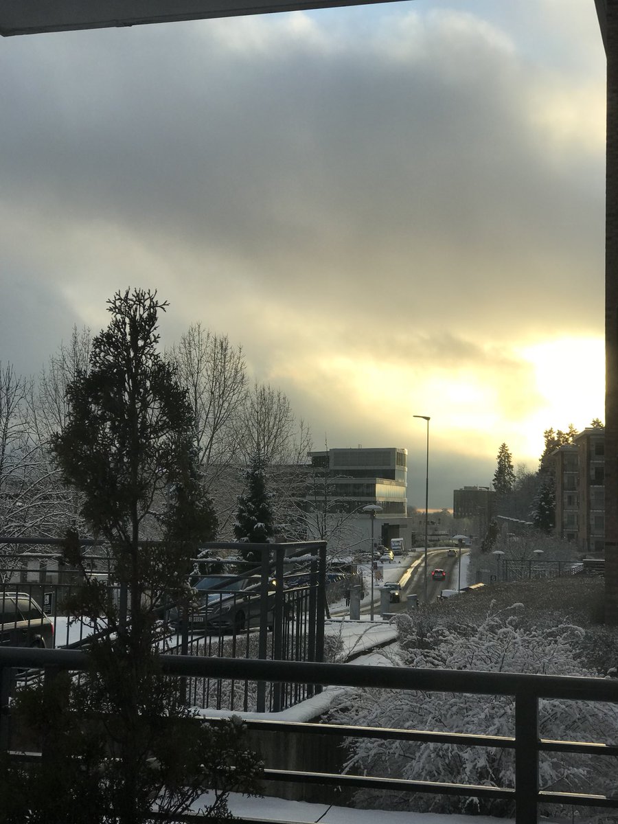 GLADSherpa's tweet photo. “The only constant in life, is #change ...”
This year’s first #snowfall....the same #evening....the setting sun.....the different shades of #beauty❣️
#sunset
#naturenurtures
#secretoflife
#successfromwithin
#oslo
#ifeeliam
#gladitude
#gladsherpa https://t.co/0K10y7WvUT