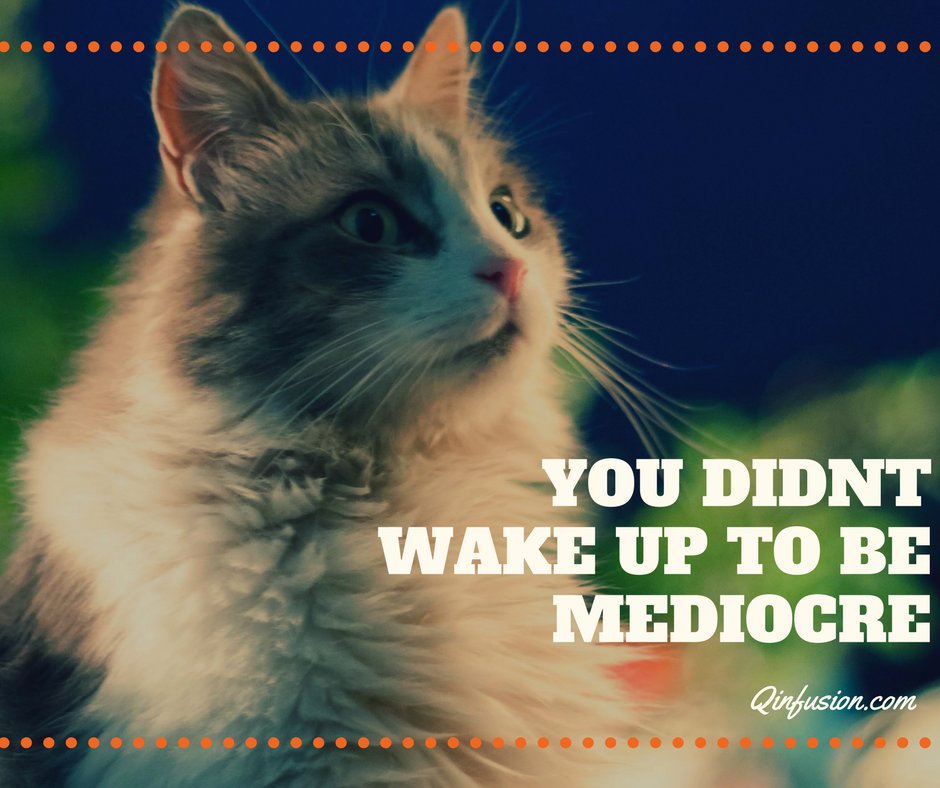 Qinfusion's tweet photo. We all have unique skills, talent, and potential. Being Mediocre is not one of them. #findingJoy2017 #entrepreneurlife https://t.co/HghgoCfmyS