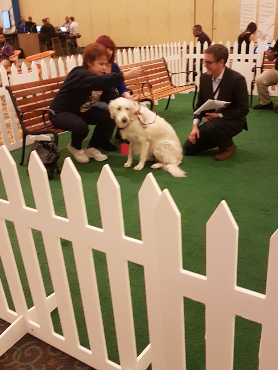 david_purdon's tweet photo. A break between sessions at Autodesk University. Come pet a dog. #AU2017 https://t.co/oJoiFhBd7v