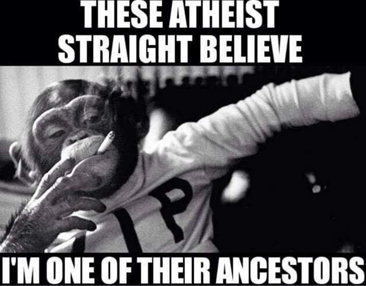 truther_shawty's tweet photo. Ahh... globe trotters!🙈🙊 🐒 https://t.co/2nkFnHWtJg