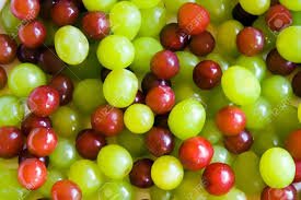 ONFE_ROPE's tweet photo. Red and Green grapes for the #Holidays #schoolbreakfast #OttPPD | Raisins Rouges&amp;Verts #Tempsdesfêtes #petitdéjeuner #écoles #OttPPD https://t.co/kJMpu9No3R