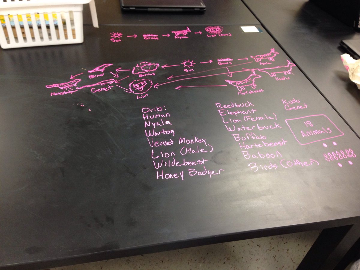 SBarker53's tweet photo. Exploring species and food webs in KHS APES classes using Gorongasa Park game cameras #HHMI #kisdscience https://t.co/MJEwlAl3le