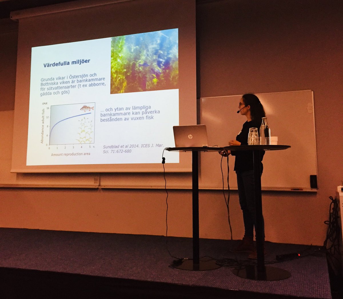 havsmiljo's tweet photo. Grunda vikar viktiga livsmiljöer o lagrar kol. Viktigt att begränsa påverkan från bl a fritidsbåtar. @WikstromSofia på #hos2017 https://t.co/4BROhSFD0P