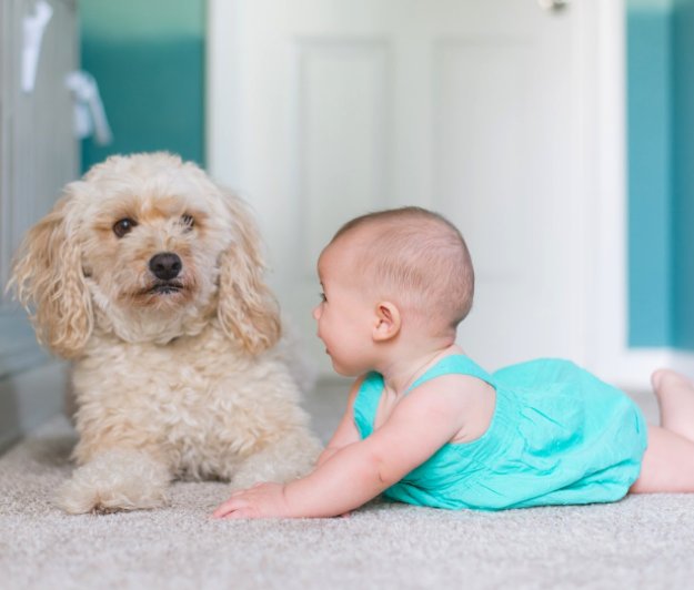 KiddieProofers's tweet photo. Your child's safety is your responsibility. Here are some tips that will help you keep your baby out of harm's way! https://t.co/maq6Xaldbv https://t.co/cw5KDVwZZG