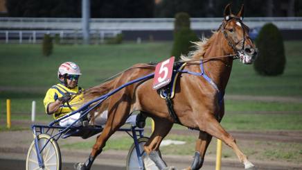 Gazzetta_it's tweet photo. Due arresti per il rapimento di #Unicka e #Vampire Danny https://t.co/VqNIxQKtOi #altrisport https://t.co/Fdmp2BTbpd