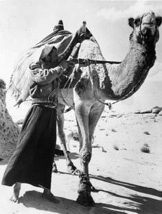 Dewan1wi's tweet photo. لي بندقٍ  في  نهار الصيـد  ممدوحه
من  بدتي   يوم   جيت   عبيد  ناقيها
-
أحفيت رجلي  وشوفي  مبعد شبوحه
والربع لا رحت ما اخلف في هقاويها
-
عماش عامر البقمي https://t.co/vPSJhu0Uiq