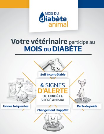 assuropoil's tweet photo. #JourneeMondialeduDiabete 1 animal sur 300 est concerné par le diabète sucré animal. Agissons dès à présent avec le dépistage de nos petits compagnons ! Découvrez la vidéo de @city_pattes 🎥👉https://t.co/lheoxNvLWt https://t.co/Vyz7q7IO4D