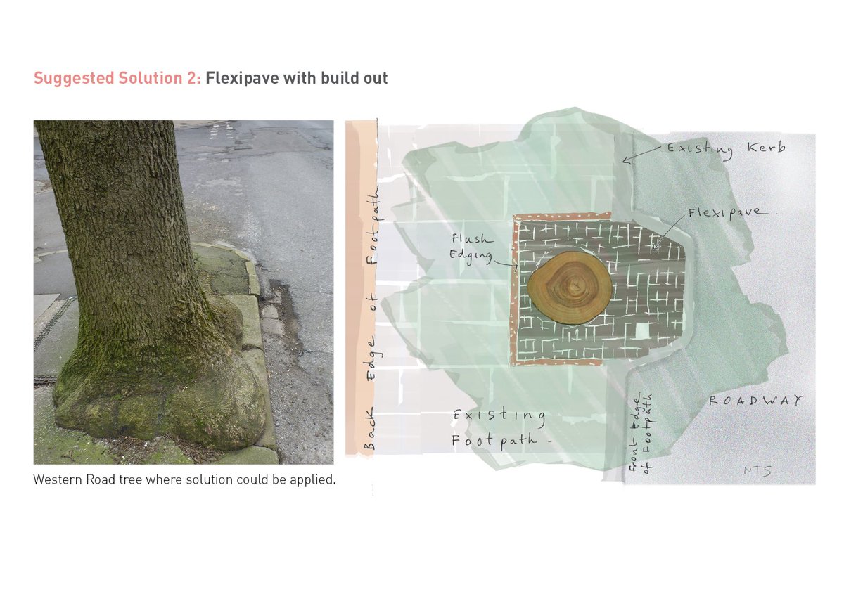 iamthemotman's tweet photo. Western Road Design solution #2
#SaveSheffTrees produced by @IntegreatPlus #WW1PaintOff https://t.co/ZTwYRbDBWJ