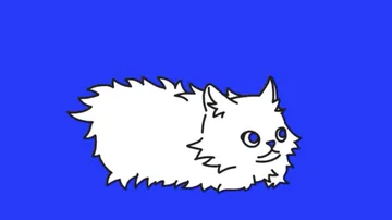 画像 / Picture