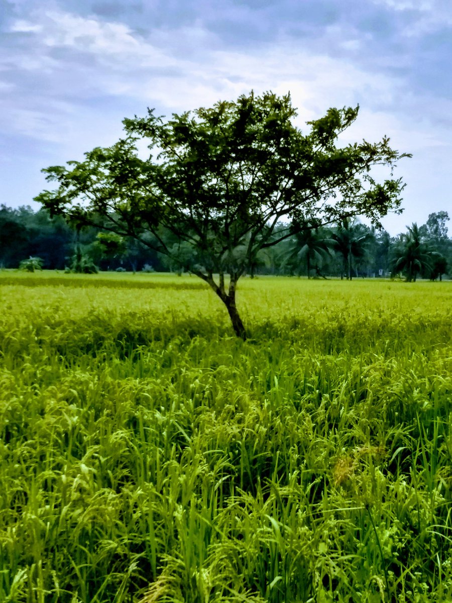 withsoma's tweet image. #MyPhotography #SuddenClick #NatureLove