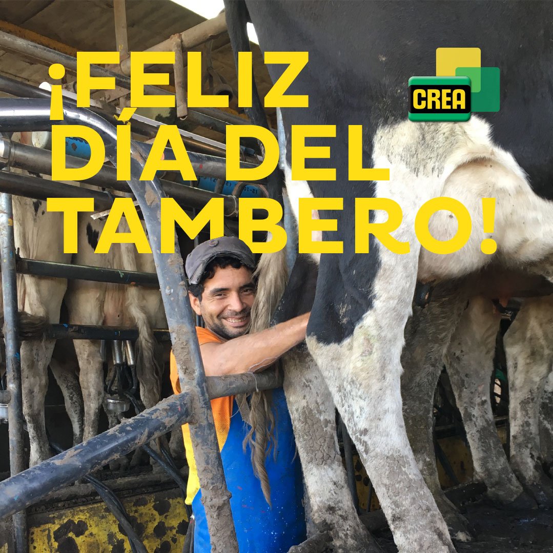 crea_arg tweet picture