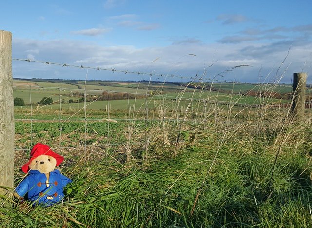 VisitWiltshire's tweet photo. Have you seen Paddington exploring Wiltshire yet? #timeforwiltshire #paddingtonsbritain #paddington2 https://t.co/vxwtSZ4xSp