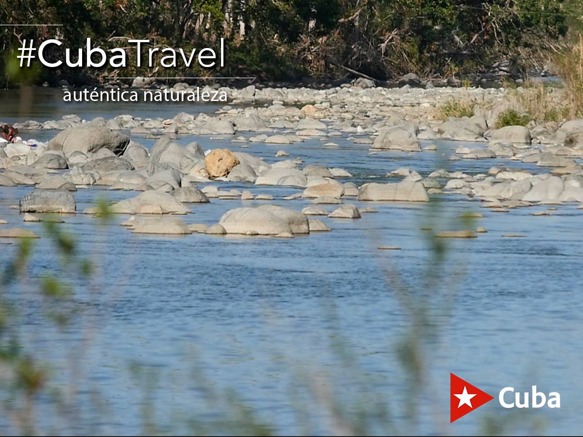 Gtmotravel tweet picture