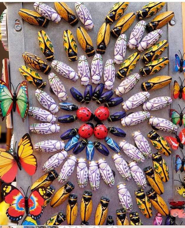 Visiting Provence tweet media