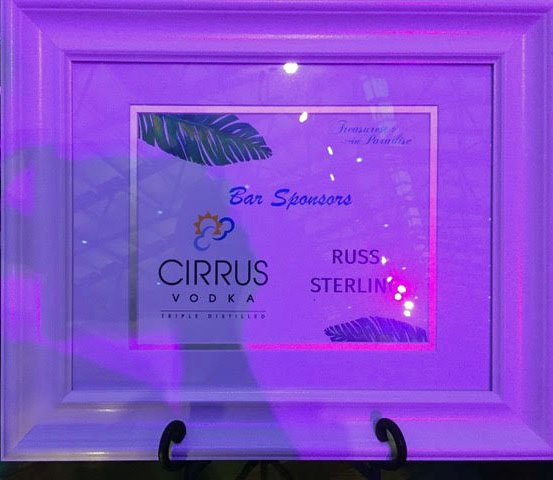 CirrusVodka's tweet photo. Honored to have co-sponsored the bar at the World Pediatric Projects Treasures in Paradise Gala last weekend at the Main Street Station. Worthwhile organization: https://t.co/Jle6kxDpMG #worldpediatricproject #TheArtisanVodka #Cirrus Vodka https://t.co/a8t3OZ6qGd