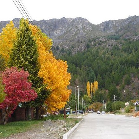 lfsur's tweet image. Colores maravillosos por las callecitas de #LagoPuelo!! #Patagonia 🌺🍃🌻🍃🌸