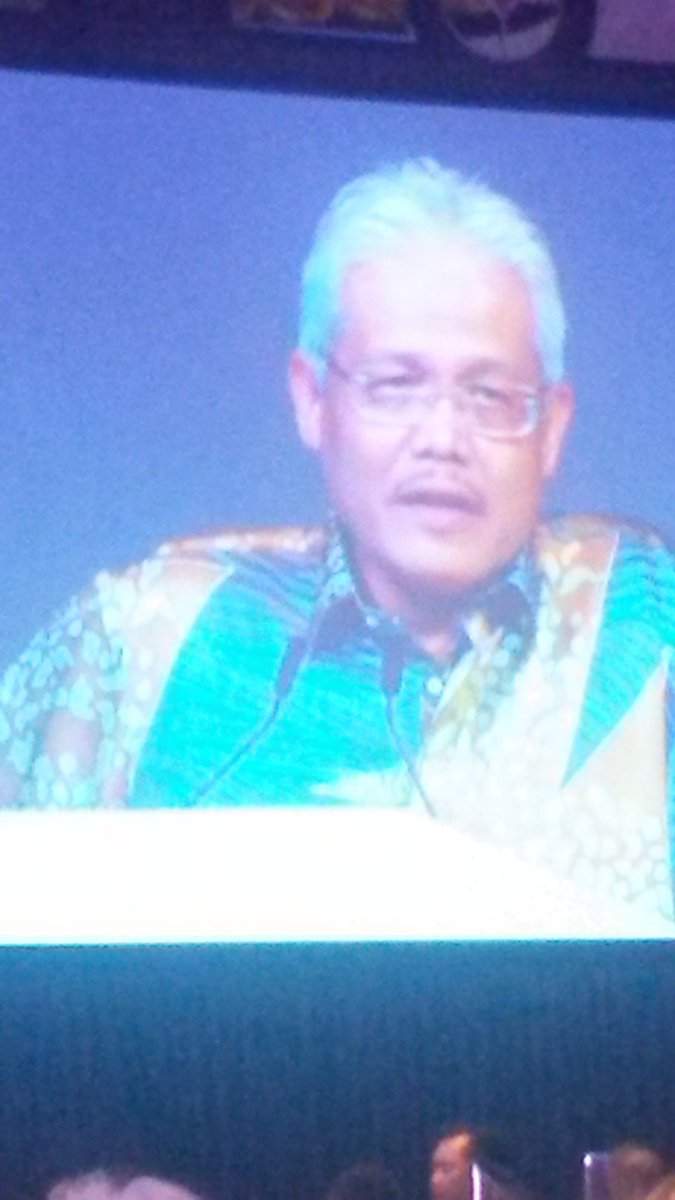 Minister addresses the conference