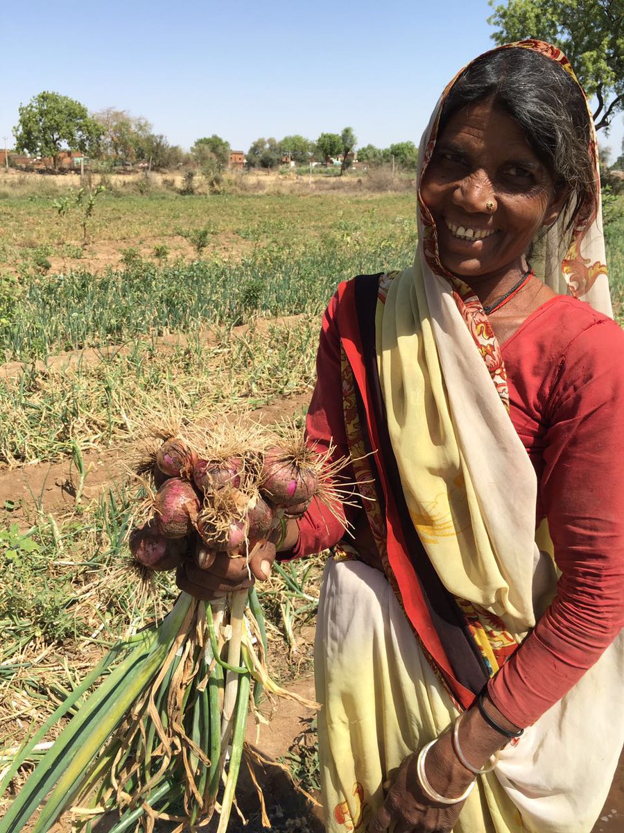 CITE at MIT tweet media