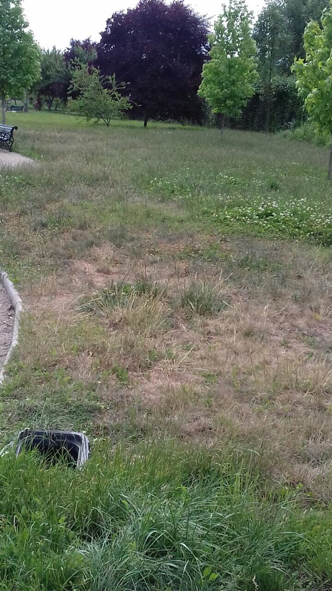 barrioperdices's tweet photo. @germancodina , @mpuentealto  favor su ayuda con mantencion de parques pendiente y descuidados desde su visita a @barrioperdices https://t.co/lKR8NOcWWp