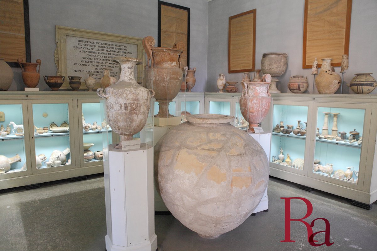 Sara Rania tweet media