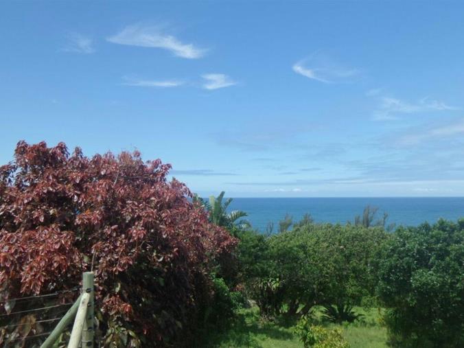 ShomotoRealtorz's tweet photo. Beach Property For Sale, 1st Row Beach. 2.5Acres KES. 75 Millions #BeachPropertiesForSaleKenya #QuickSaleProperty #BeachPropertiesHOTDEALS https://t.co/YigCCrXMg9