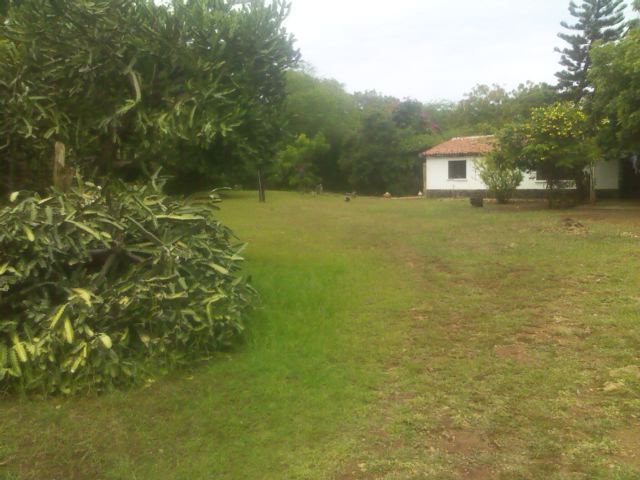 ShomotoRealtorz's tweet photo. Beach Property For Sale, 1st Row Beach. 2.5Acres KES. 75 Millions #BeachPropertiesForSaleKenya #QuickSaleProperty #BeachPropertiesHOTDEALS https://t.co/YigCCrXMg9