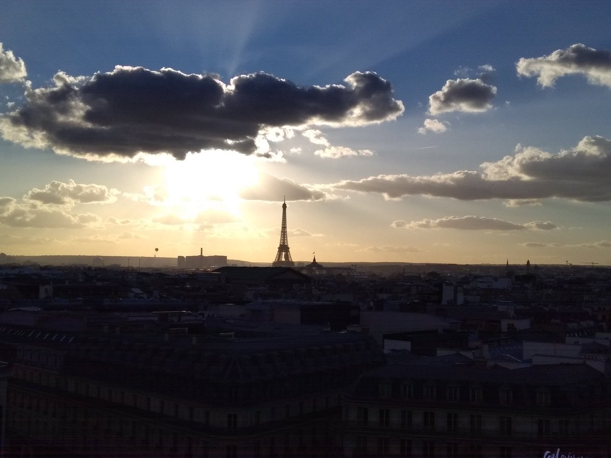 CatouLord's tweet photo. @classe_Melanie Il se prépare pour un Noël sans neige. Il est allé faire un petit tour à Paris aussi. https://t.co/MY9AFgBsLq