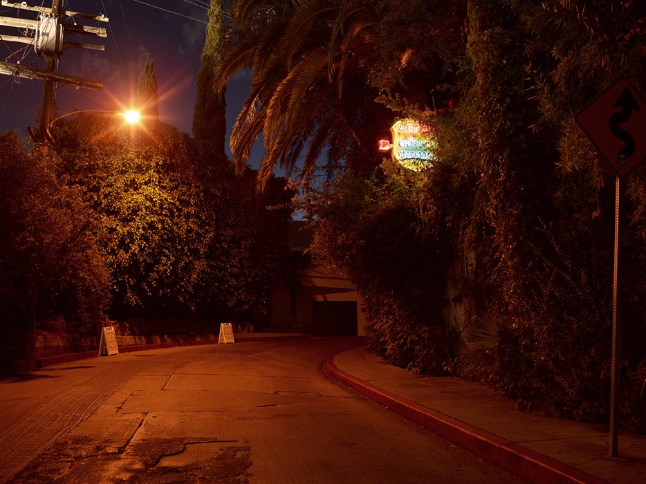 Black Dog Represents tweet media