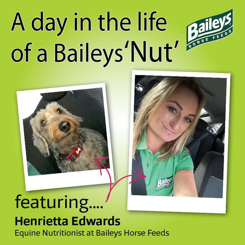BaileysFeeds's tweet photo. Find out more about our Nutritionist Team! Go to our Facebook Page to see our Q+A with Hen! #Asktheexperts #equinenutrition https://t.co/8WIQu4pA8r