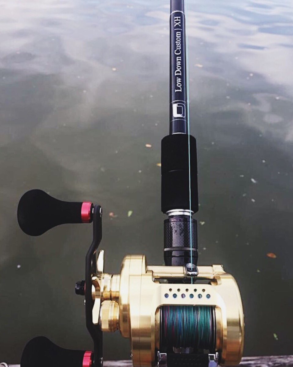 shimano conquest rod