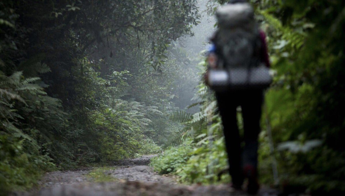 EcuadorXSports's tweet photo. ¿Llegar a Mindo desde Quito…? ¿Caminando…? ¿Es eso posible? En realidad, se trata de una de las caminatas más emblemáticas de nuestro país. #AventuraEcuador l https://t.co/IpHHPn4Z73 l @NanMagazinec https://t.co/s0GCRfuAZW