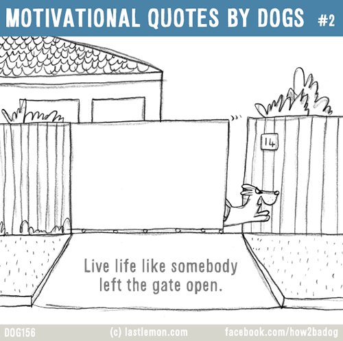 WrtrStat's tweet image. Tuesday is novel writing day! Write with courage, heart, and speed. Write with purpose today. Be an author.#amwriting Keep Writing