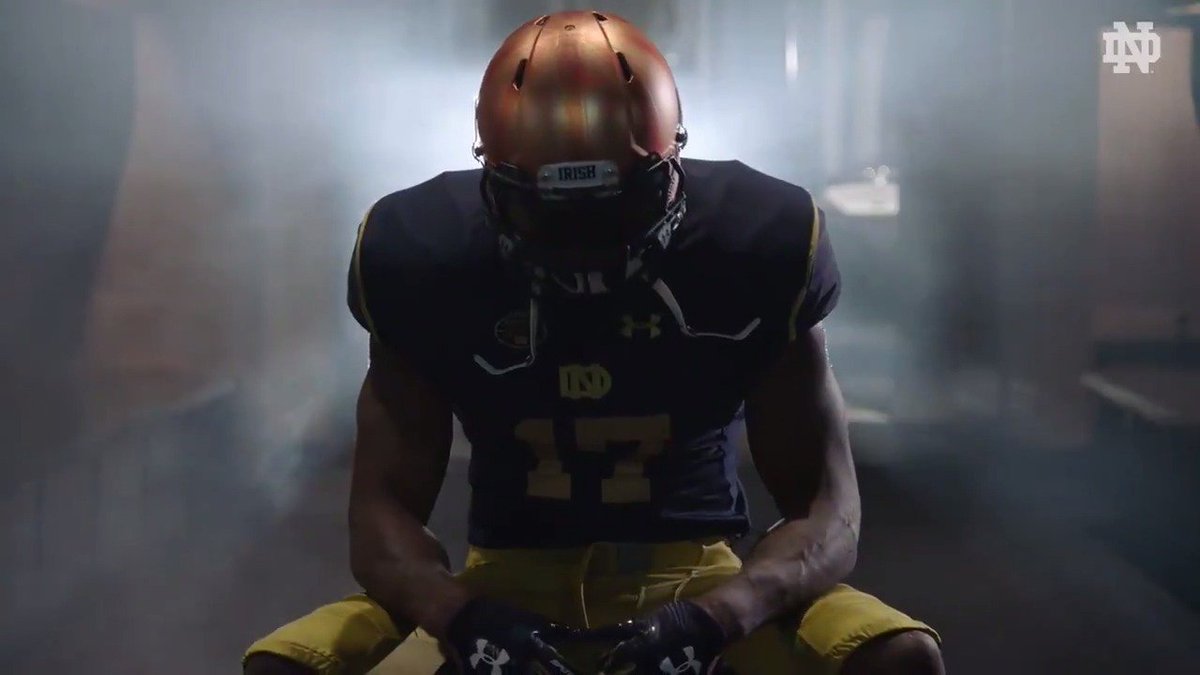Notre Dame reveals 