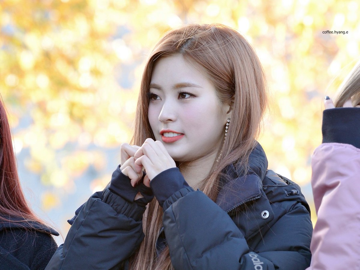 coffee_hyang_e's tweet photo. [17.11.14]#소나무 #sonamoo #디애나 https://t.co/5fpItl3eGd