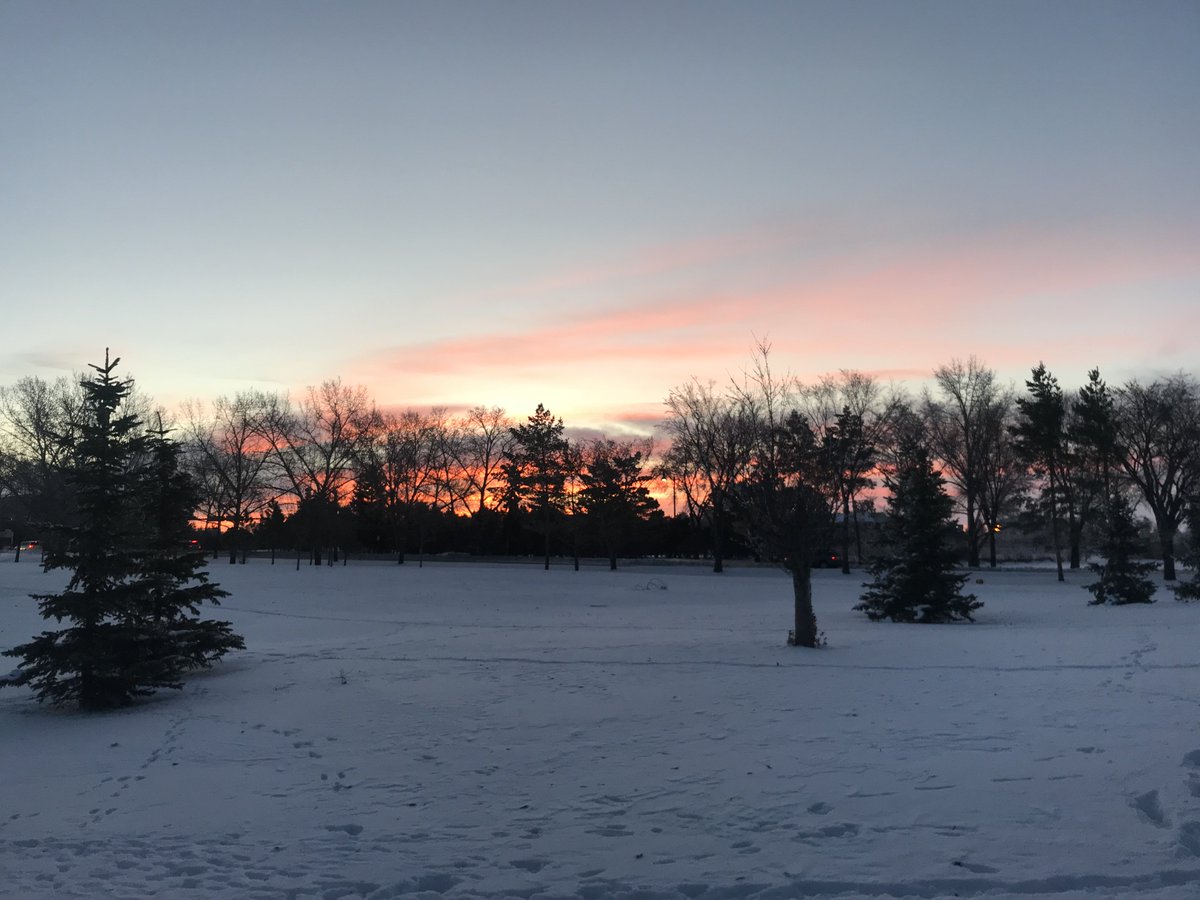 WascanaCentre's tweet photo. Good Morning! It's a beautiful day in Wascana Centre. Did you see the sunrise? #WCA150 #LandOfLivingSkies https://t.co/eDxHjLRJte