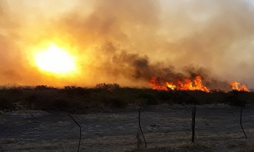 PublicARG's tweet photo. CÓMO REFORZAR LA PREVENCIÓN PARA EVITAR INCENDIOS
Frente a la posible ocurrencia de focos durante el período estival, recomiendan mantener alambrados, cortafuegos y picadas libres de vegetación
https://t.co/ANSD4XqweD https://t.co/0bkpmxEMvi