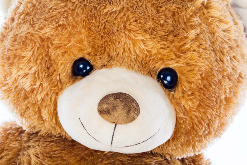 ShamrockPro's tweet photo. Grab your teddy, today is national American Teddy Bear day!
#PromotionalProducts
https://t.co/L20VYfN3mO https://t.co/dd1GI5UlnU