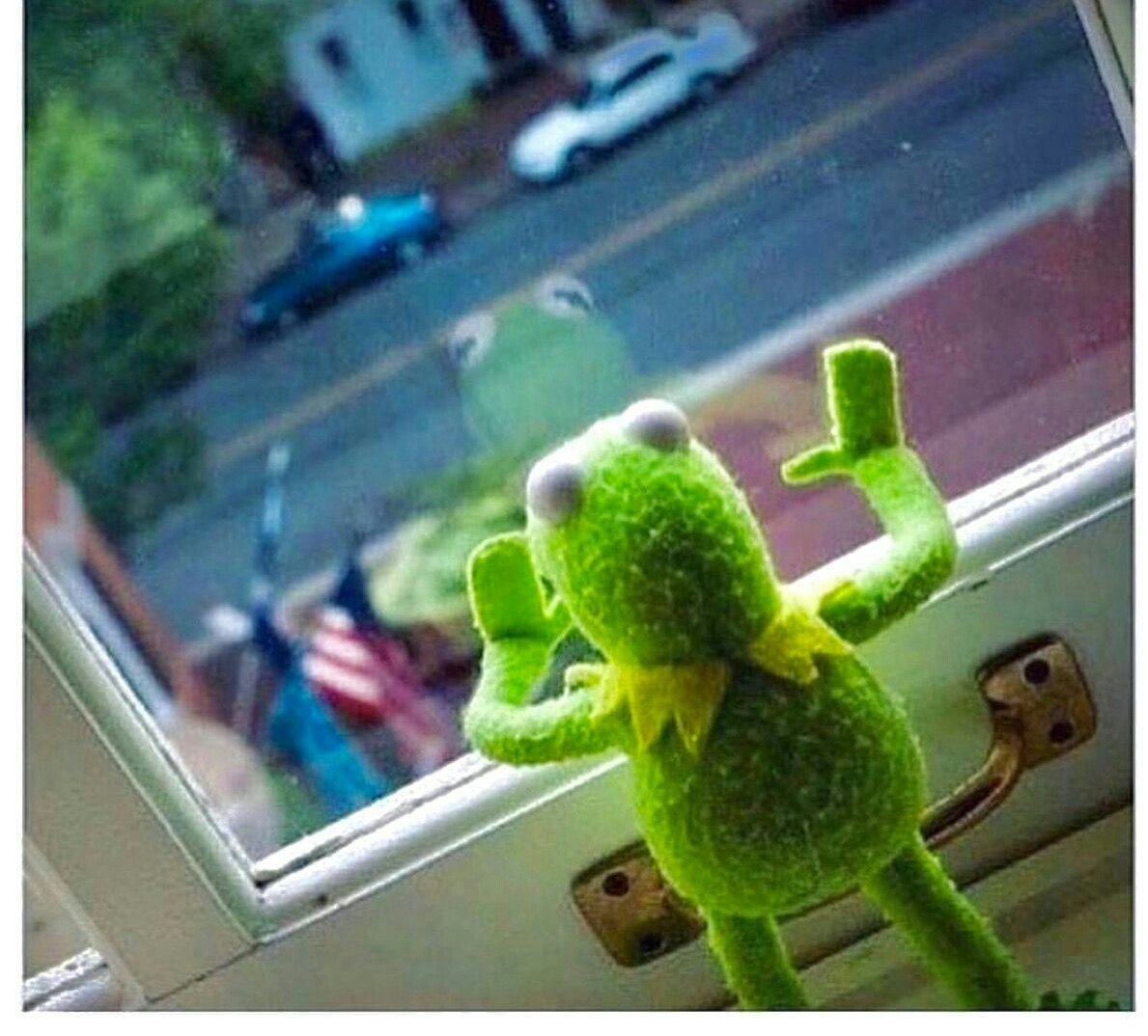 TheRealKermit2's tweet photo. Your order has been shipped. https://t.co/HKs8iRRm3b
