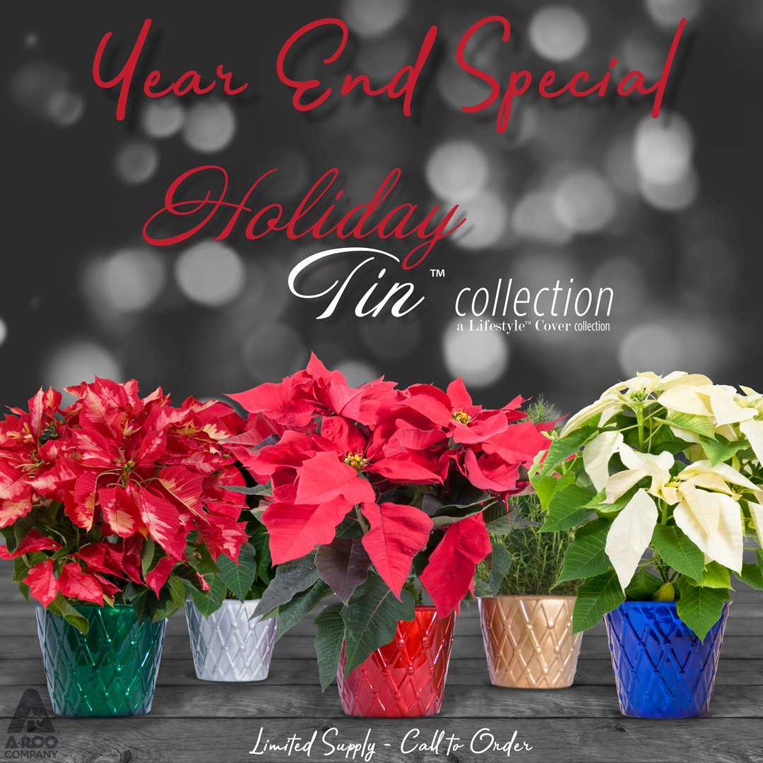 aroocompany's tweet photo. ❄️ Give your potted plant sales a boost this #holiday season with Holiday Tin™ Lifestyle™ Covers.
More info: https://t.co/rqIpSUpbib
#plantpackaging #packagingdesign #potcover #overpot #flowerpot #poinsettia #forfolkpine #rosemarybush #christmas #winter #sale #planttrends https://t.co/wenhl75uP1