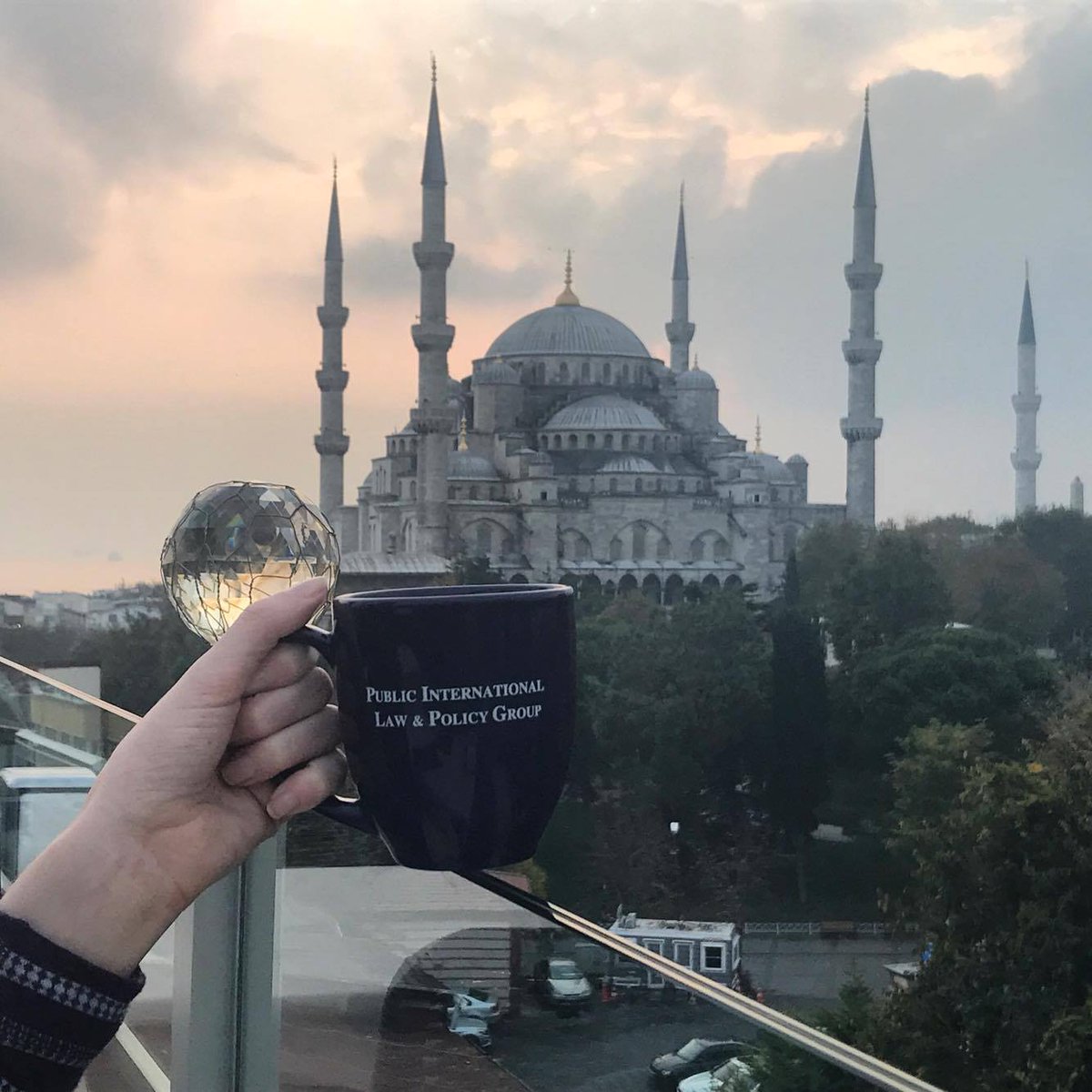 Public International Law & Policy Group (PILPG) tweet media