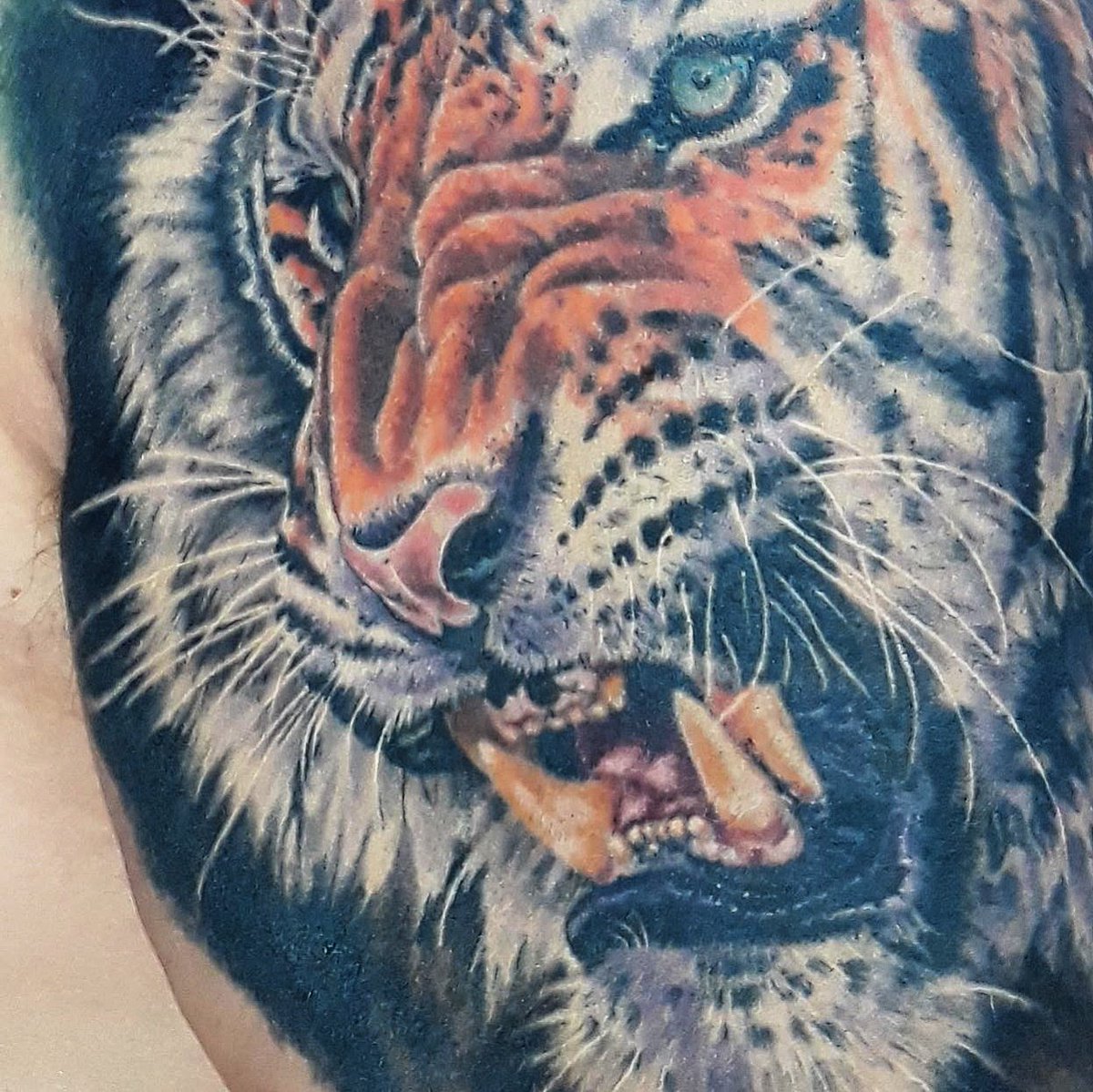 JuanMahia's tweet photo. #Flow #Tattoo #FlowTattoo #FlowTattooStudio #JuanPabloMahia #Tatuaje #Inked #BodyArt #Mendoza #Argentina #BME #ElMetralleta #Ink #Pum https://t.co/wsT8hXYQ27