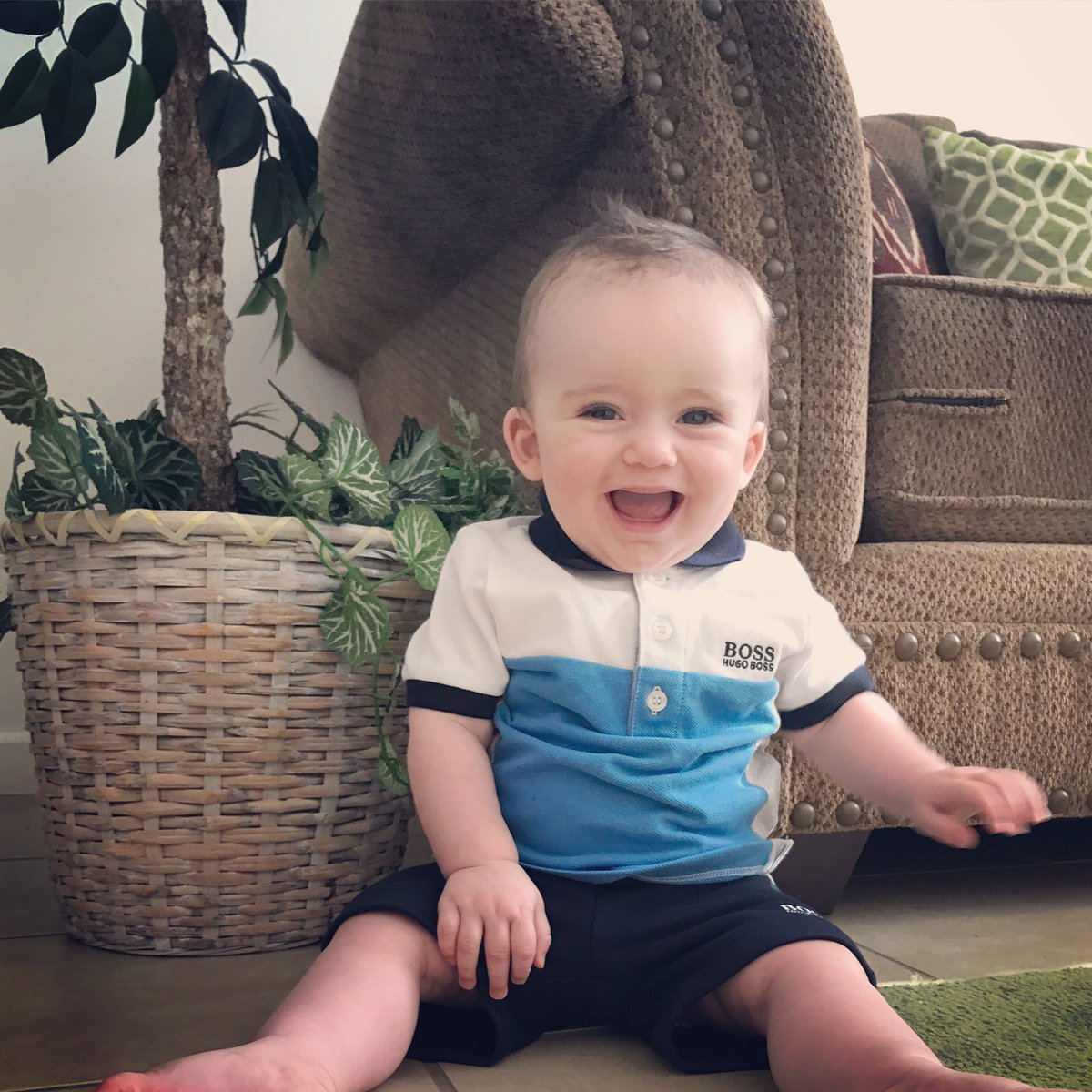 becmoorf's tweet photo. happy #Tuesday from carter https://t.co/gLXsmp2mSD