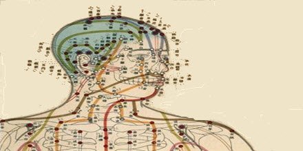 radixtcm's tweet photo. Acupuncture: Where's the evidence? The latest blog post inspired by a fantastic talk from Evidence Based Acupuncture at the @ACMACtweets conference last weekend https://t.co/pMEz1aOkvI https://t.co/Ct2jW5U8cH